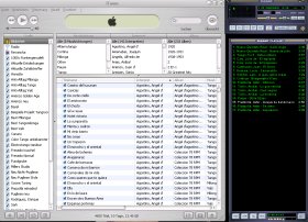 Hardcopy ITunes und Winamp